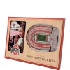 Brand new ⌛ NCAA Ohio State Buckeyes 3D StadiumViews Picture Frame - Ohio Stadium by You The Fan 🥰 -You The Fan Sales Belk 1400