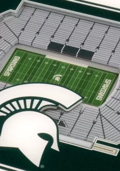 Budget 😀 NCAA Michigan State Spartans 3D StadiumViews Set of 2 Coasters Set - Spartan Stadium by You The Fan 🔔 -You The Fan Sales Belk 1599