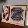 Buy 🧨 NFL New England Patriots 3D StadiumViews Picture Frame - Gillette Stadium by You The Fan 🥰 -You The Fan Sales Belk 1897