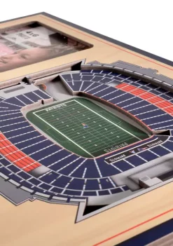 Buy 🧨 NFL New England Patriots 3D StadiumViews Picture Frame - Gillette Stadium by You The Fan 🥰 -You The Fan Sales Belk 1899