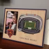 Wholesale 😉 NFL Chicago Bears 3D StadiumViews Picture Frame - Soldier Field by You The Fan 🌟 -You The Fan Sales Belk 2309