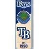 Top 10 💯 MLB Tampa Bay Rays 3D Stadium Banner-6x19 by You The Fan 🧨